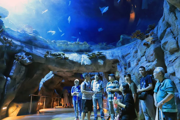 Osoby Odwiedzające Duże Akwarium Parku Rozrywki — Zdjęcie stockowe