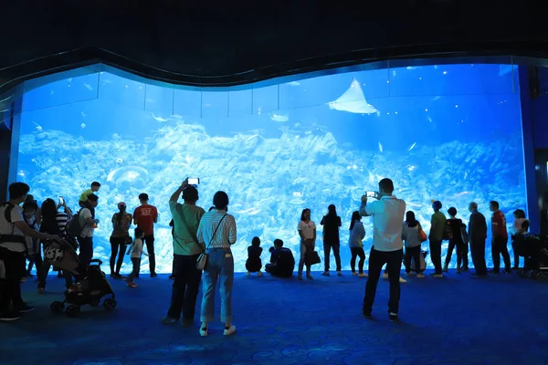 People Visiting Large Aquarium Theme Park — Stock Photo, Image