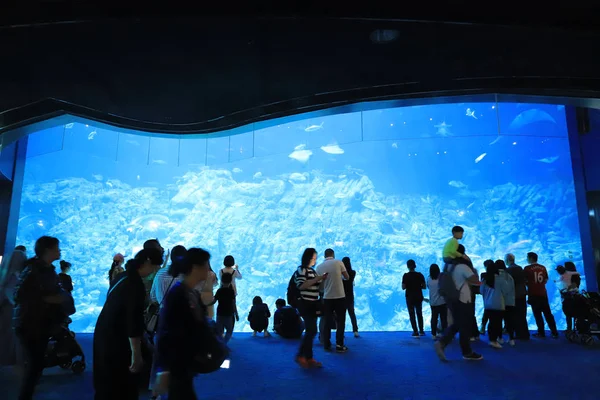  insanlar büyük akvaryum Tema Parkı ziyaret
