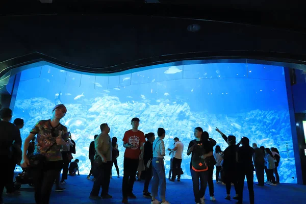 Menschen Besuchen Das Große Aquarium Freizeitpark — Stockfoto