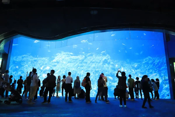  insanlar büyük akvaryum Tema Parkı ziyaret