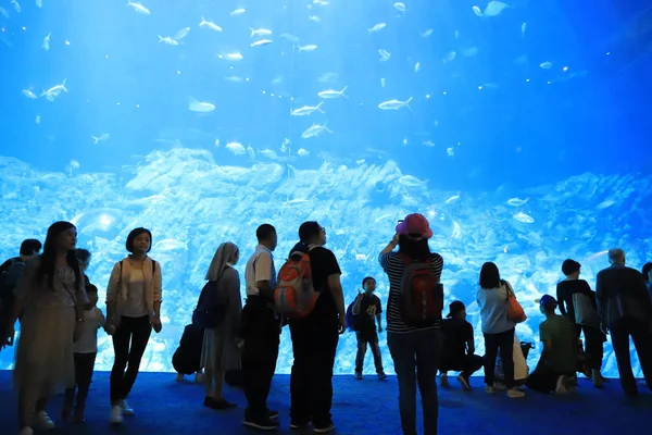 テーマパークでは 大規模な水族館を訪れる人々 — ストック写真