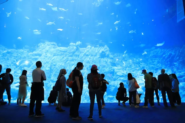 Personnes Visitant Grand Aquarium Parc Thème — Photo