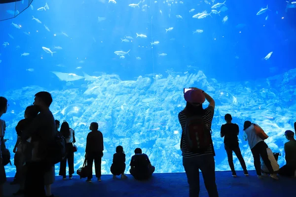 Personas Que Visitan Gran Acuario Parque Temático — Foto de Stock