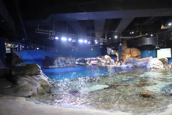 Die Große Wasserfläche Freizeitpark — Stockfoto