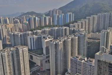 Tai Ko konut binasında bir grup