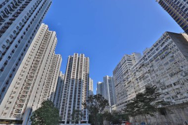 gündüz Hk ocağı koyunda