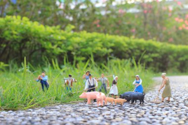 çiftlik figürü mini