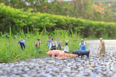 çiftlik figürü mini