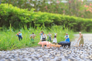 çiftlik figürü mini