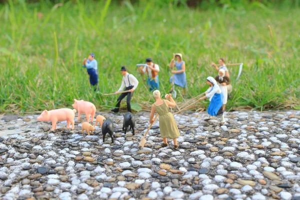 Mini Figura Granja — Foto de Stock