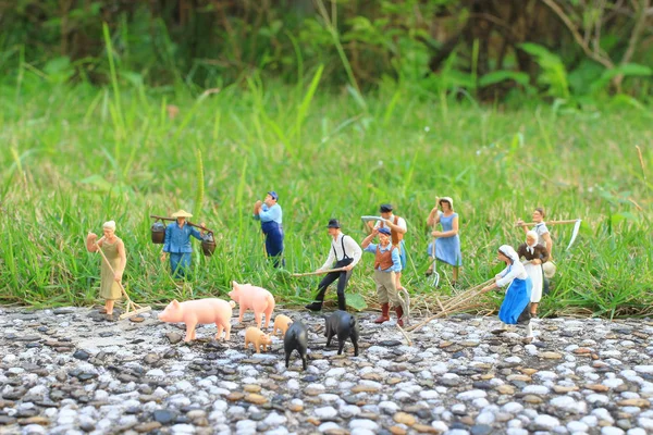 Mini Figura Granja — Foto de Stock