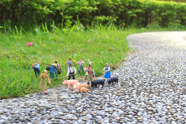 Mini Figura Granja — Foto de Stock