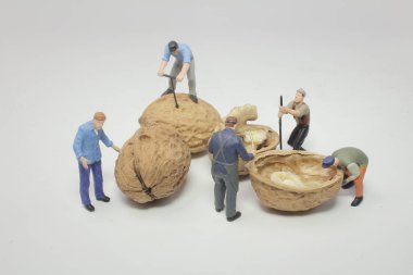 mini çalışan çoğu çalışma açık ceviz