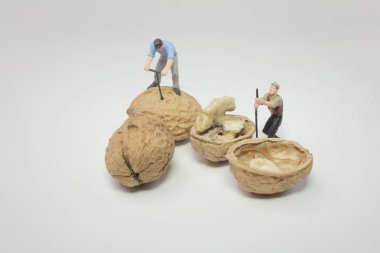 mini çalışan çoğu çalışma açık ceviz