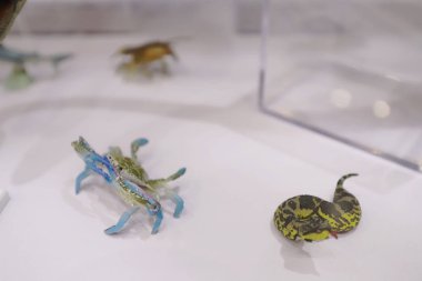 Oyuncak Fuarı hk hatlarıma gösterisi