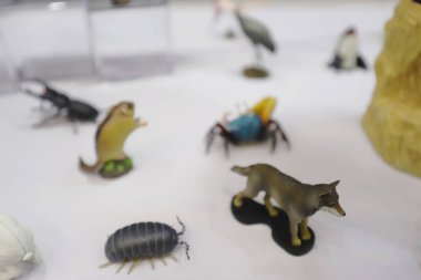 Oyuncak Fuarı hk hatlarıma gösterisi