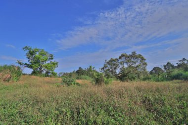 Yüksek önemsiz tepe trai bir manzara