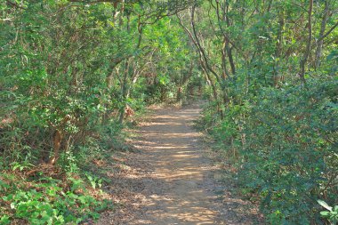 Yüksek önemsiz tepe trai bir manzara