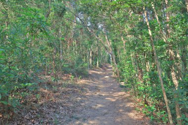 Yüksek önemsiz tepe trai bir manzara