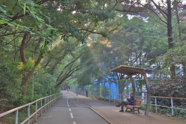 güneş ışığı ile bisiklet yolu