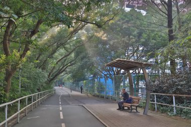 güneş ışığı ile bisiklet yolu