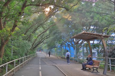 güneş ışığı ile bisiklet yolu