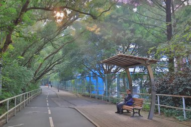 güneş ışığı ile bisiklet yolu