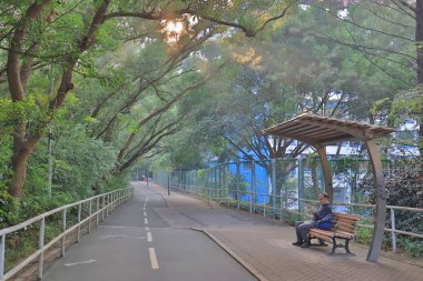 güneş ışığı ile bisiklet yolu