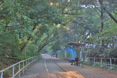 güneş ışığı ile bisiklet yolu