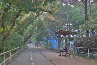 güneş ışığı ile bisiklet yolu