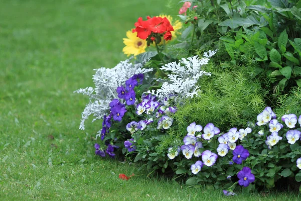 Flower Beds Formal Garden Flower Show — Stock Photo, Image