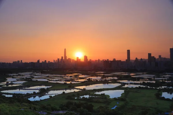 香港的郊野日落 水稻领域现代化的办公大楼 — 图库照片