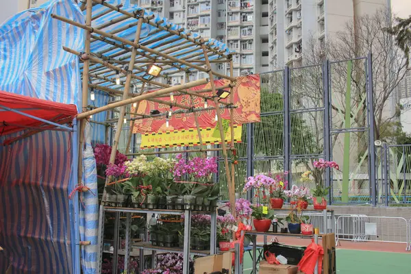 Feria Año Nuevo Lunar Hong Kong — Foto de Stock