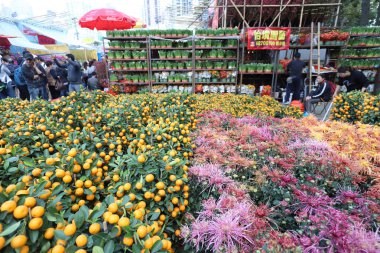 Ay yeni yıl adil Victoria Park,