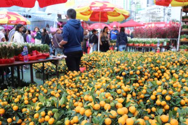 ay yeni yıl 2019 Çin Fuarı