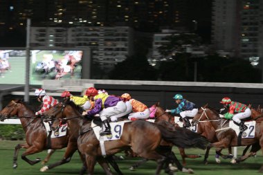 bir at yarışı hk, popüler bir spordur