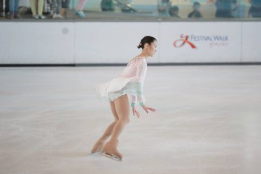 Sanatsal paten, buz pateni, hız