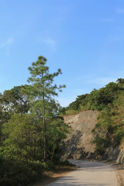 Paysage Maclehose Trail 2009 — Photo