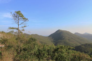 hk Maclehose iz 2009 bir manzara