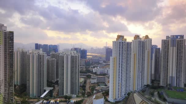 九龙湾 香港住宅区 — 图库视频影像