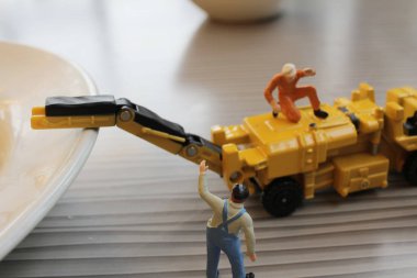  Minyatür resim bolognaise üzerinde çalışma