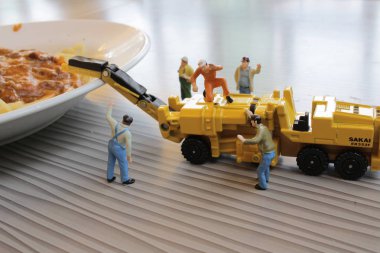  Minyatür resim bolognaise üzerinde çalışma