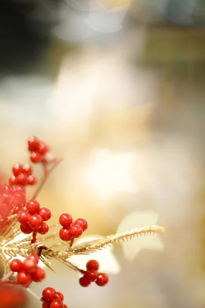 Décorations de Noël au centre commercial hk — Photo