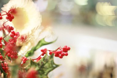 Xmas süslemeleri hk alışveriş merkezi