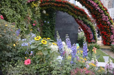 hk çiçek flowe yatak ekrana göster: 2019