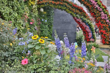 hk çiçek flowe yatak ekrana göster: 2019