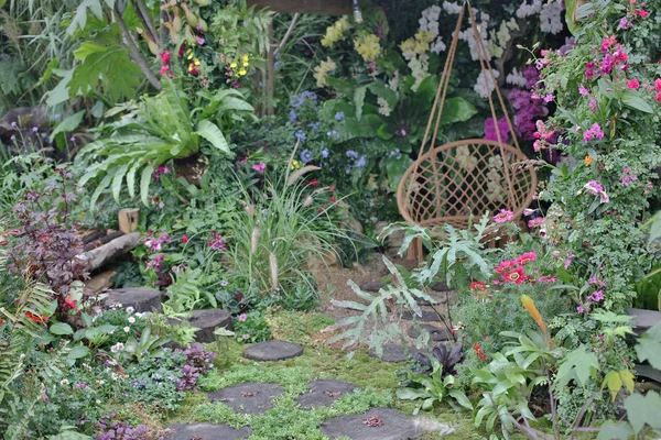 Hk çiçek flowe yatak ekrana göster: 2019 — Stok fotoğraf