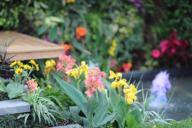 hk çiçek flowe yatak ekrana göster: 2019
