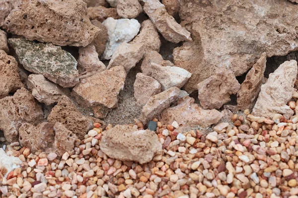 The dry and sand macro photo nature — Stock Photo, Image